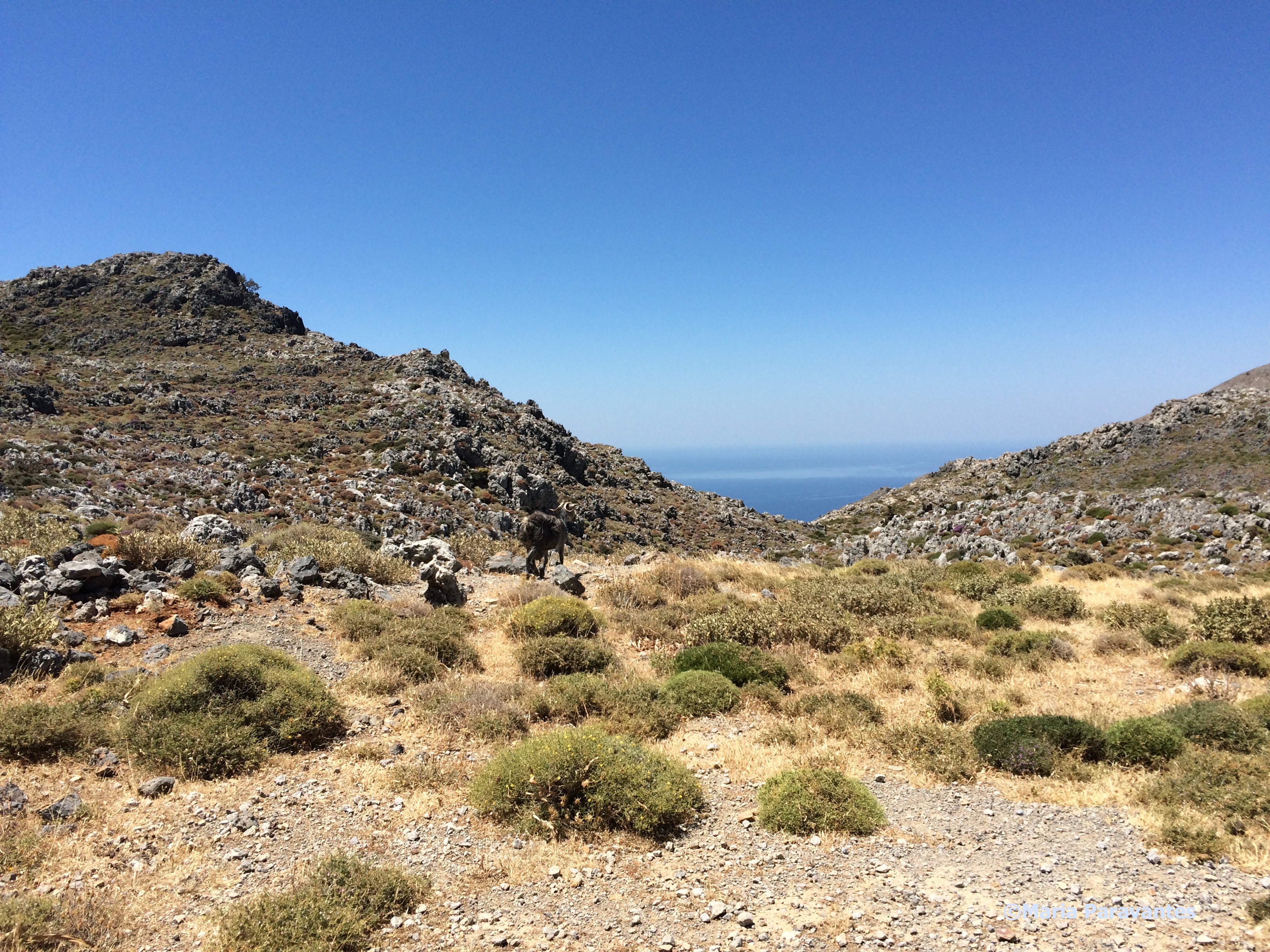 Kato Symi, Crete – A Traveler’s Gate to Heaven