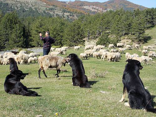 8 Unique Heritage Traditions You Shouldn’t Miss in Greece