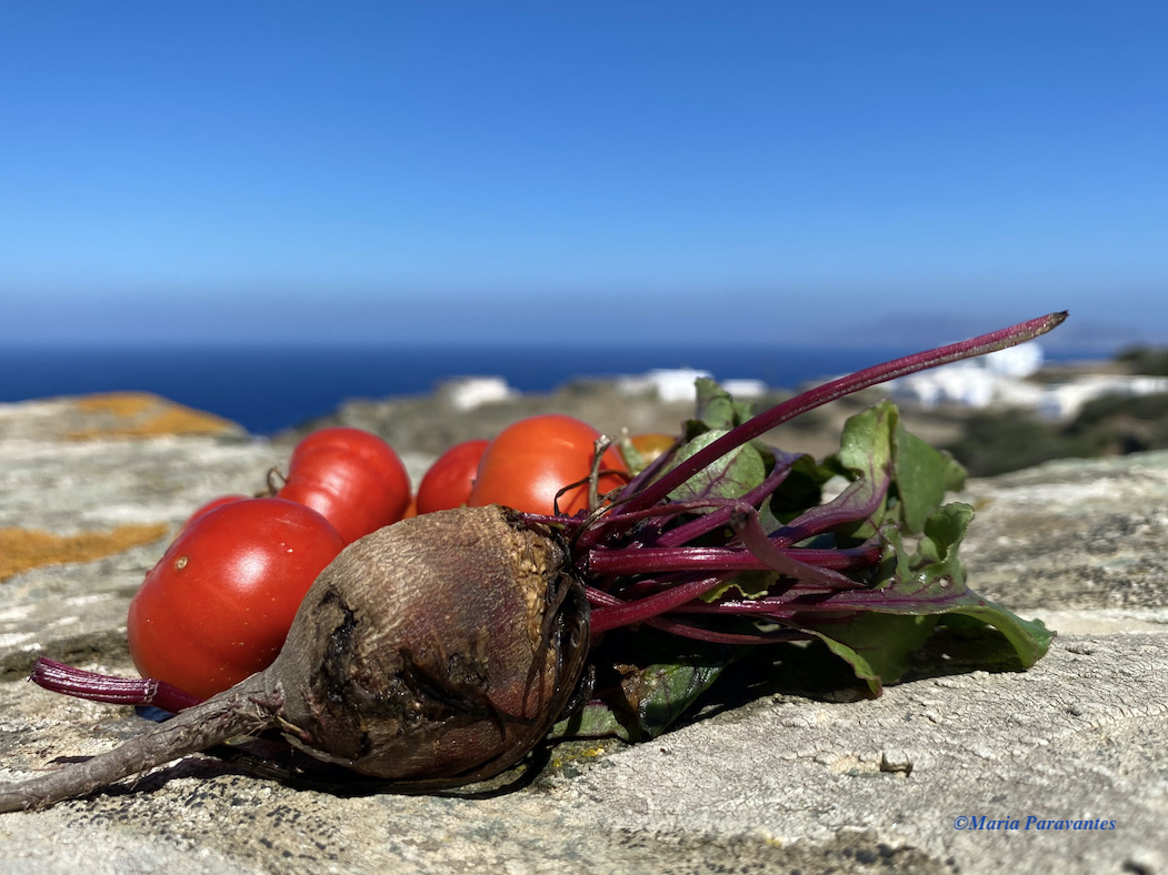 Greek Food Product and Practices at Risk of Disappearing