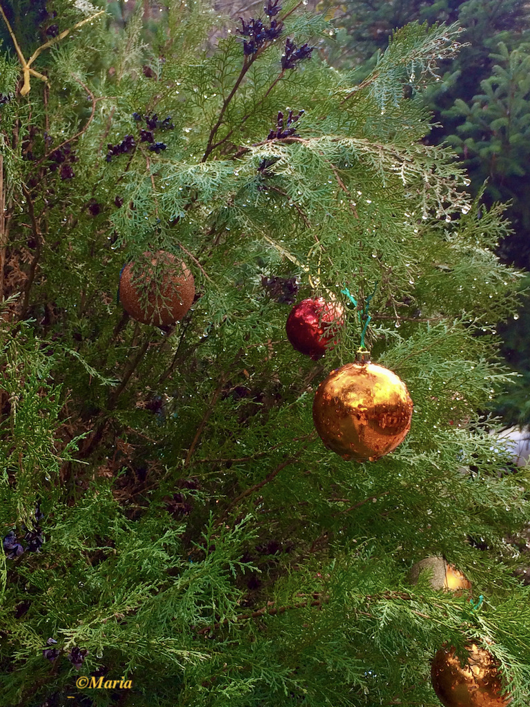What do Greeks do for Christmas