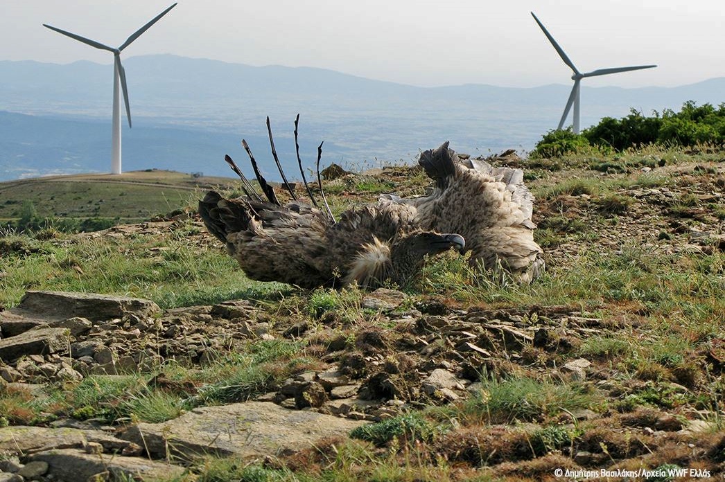 Wind Farm Overkill to End Greece Tourism Once and for All