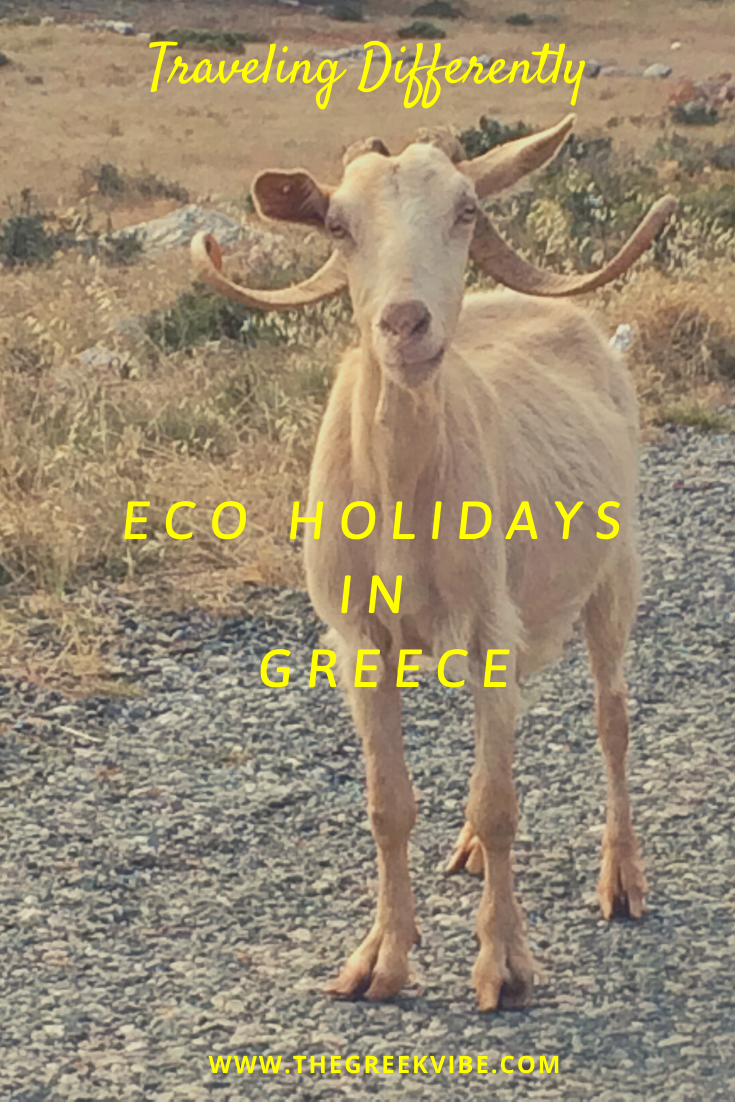 Travel with Care: 5 Eco-Friendly Retreats in Greece