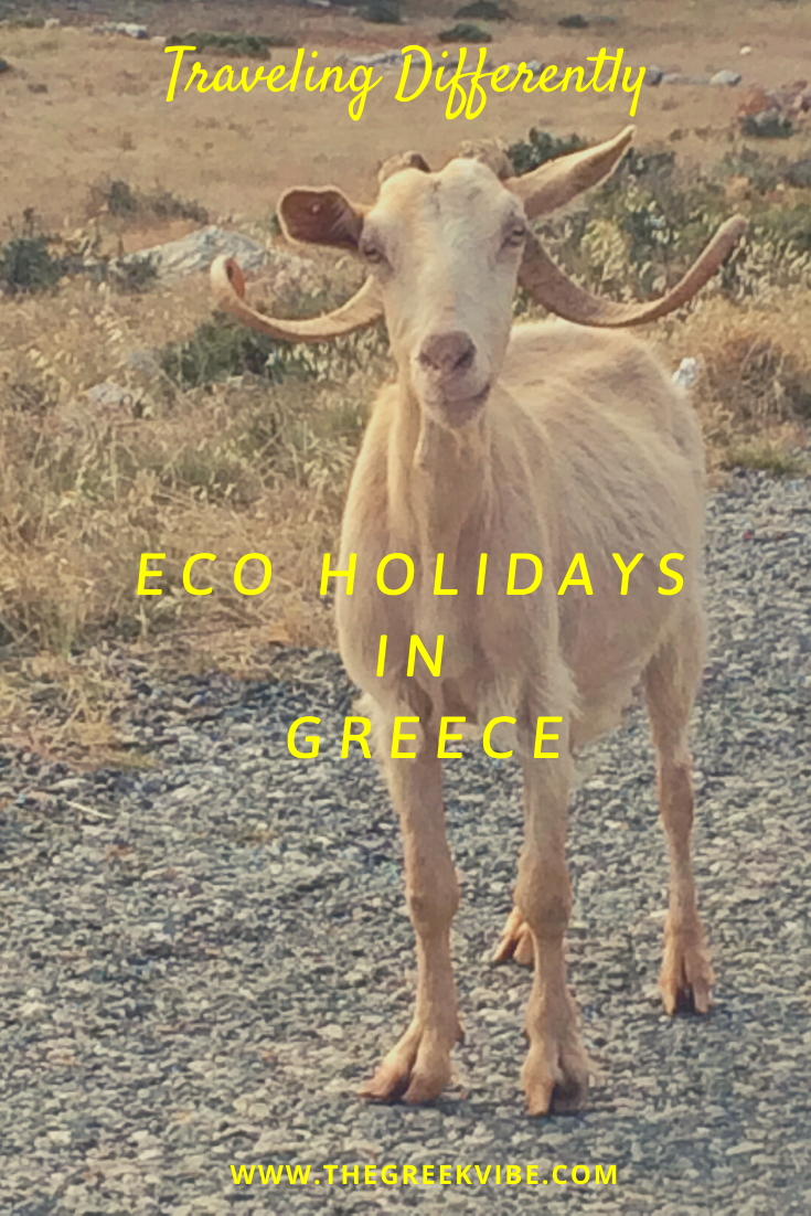 Mindful Travel: 5 Eco-Friendly Retreats in Greece