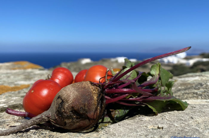 Mindful Travel: 5 Eco-Friendly Retreats in Greece