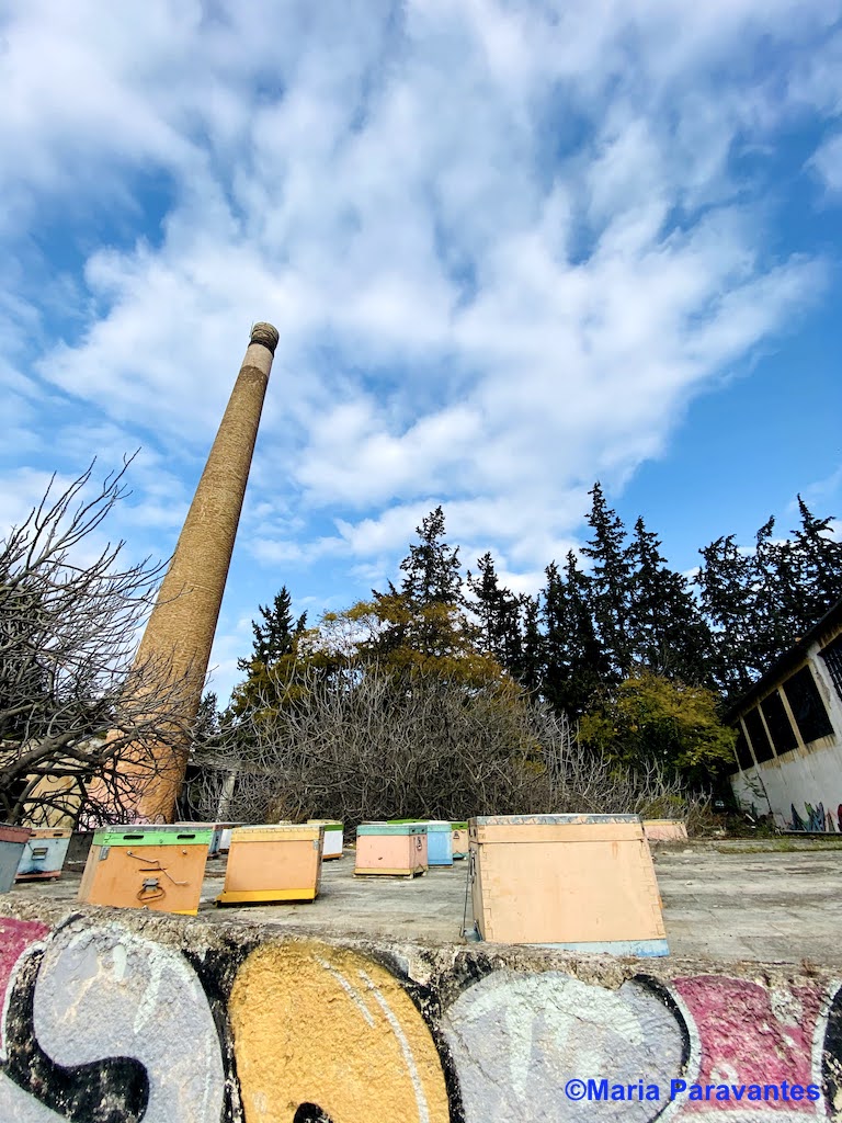 How to Spend a Perfect Day Outdoors in Athens