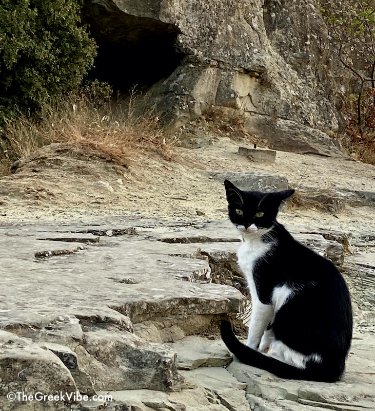 Visit Meteora and Reach Out to the Universe