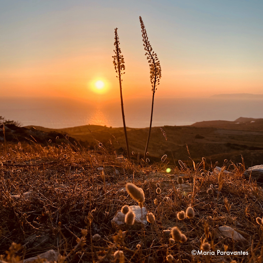 Five Quiet Greek Islands to Visit if You Want to Relax