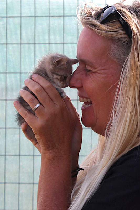 A ‘Crazy’ Cat Lady on Kythira Saving Lives