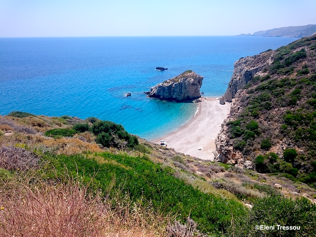 A ‘Crazy’ Cat Lady on Kythira Saving Lives