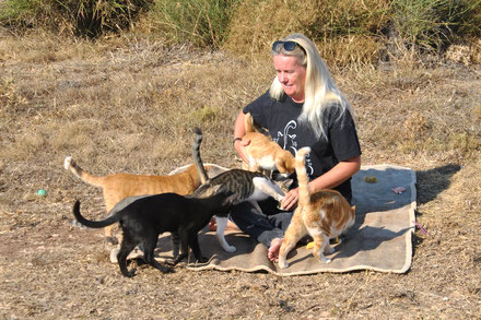 A ‘Crazy’ Cat Lady on Kythira Saving Lives