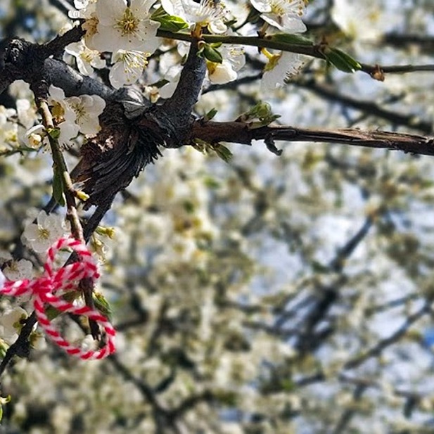 Welcoming Spring the Greek Way with a ‘Martis’